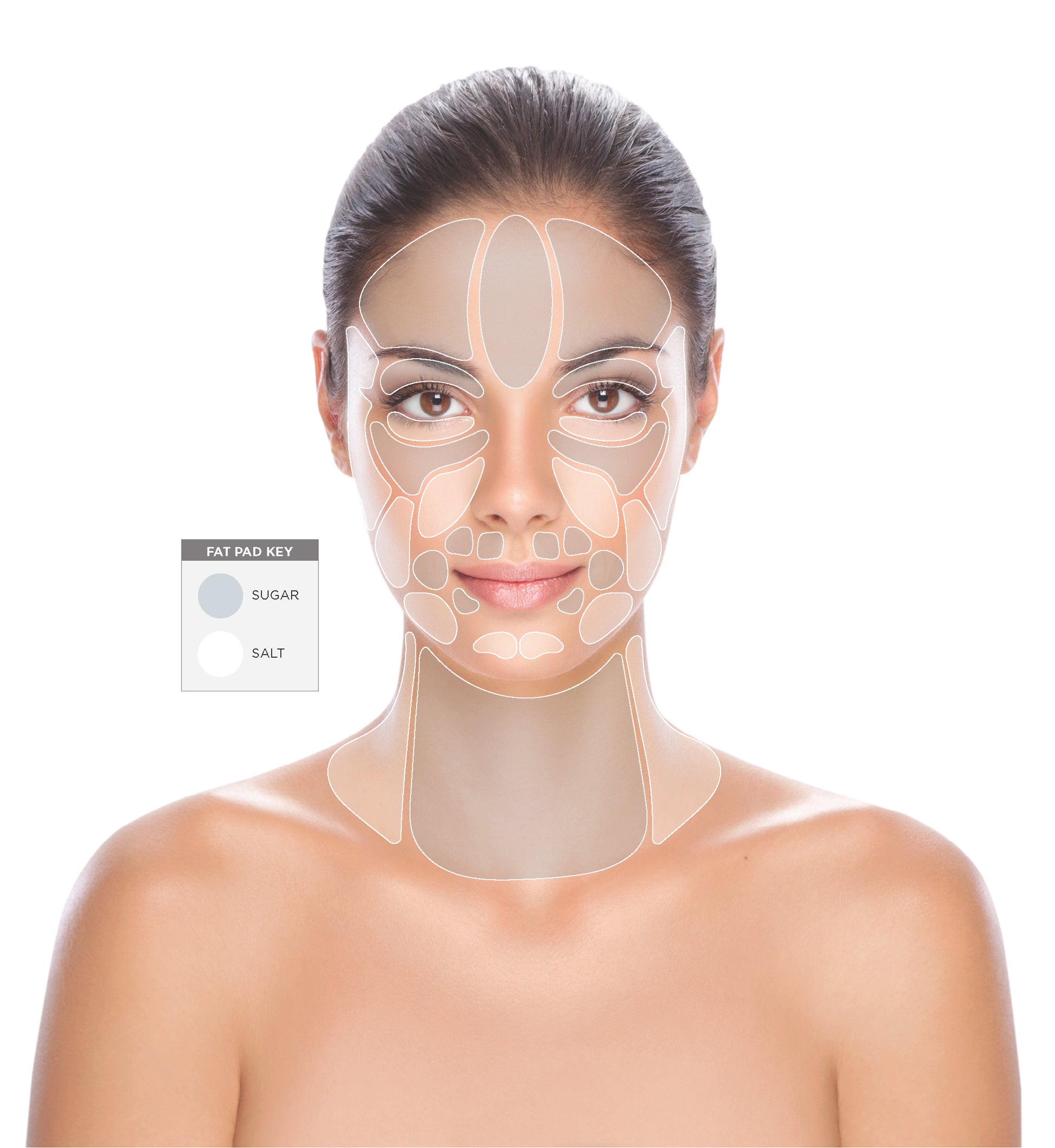 Osmosis Recovery - Satori Fiori Skin Care