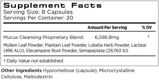 Osmosis Skin Clarifier - Satori Fiori Skin Care